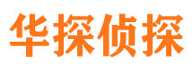 宜宾市调查公司